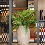 Ibis Jallieu Medipole Hotel 3*