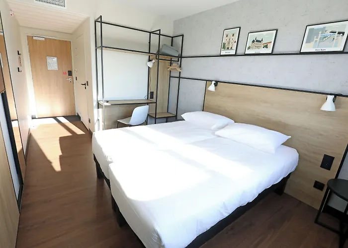 酒店 Ibis Jallieu Medipole 3*