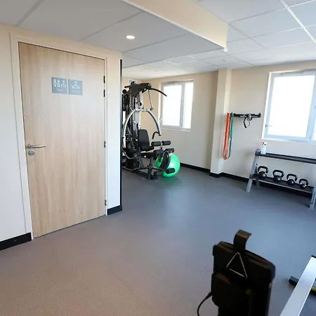 Ibis Jallieu Medipole Hotel 3*