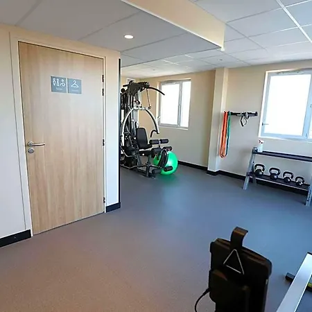 Ibis Jallieu Medipole Hotel 3*